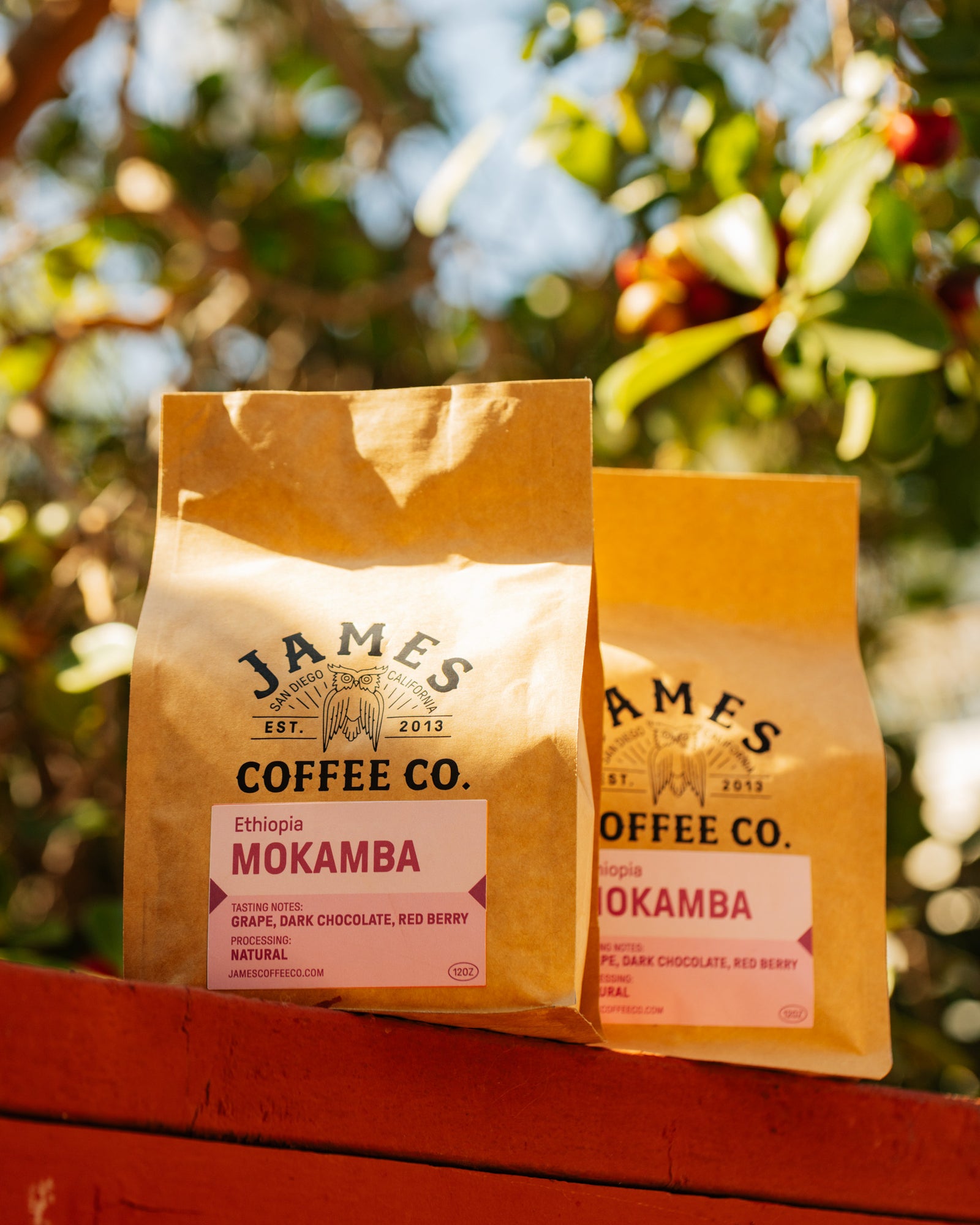 Ethiopia Mokamba Natural