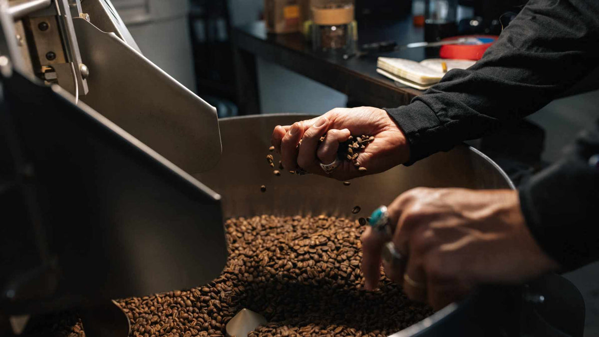 coffee-roaster