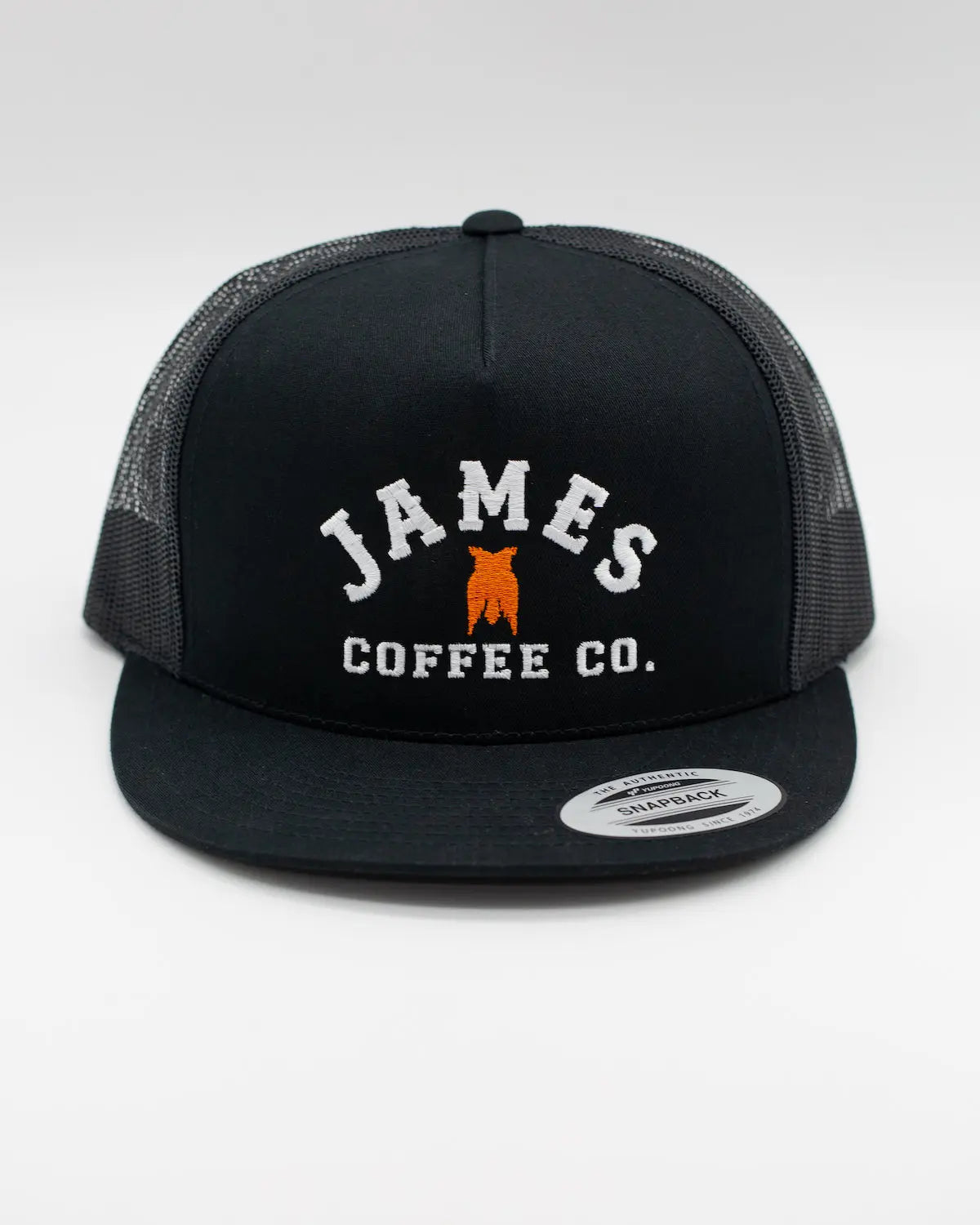 James Logo Snapback Hat